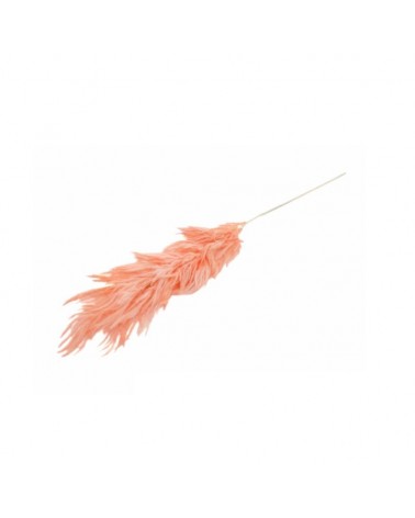 FOLHAGEM PAMPAS GRASS ROSA 82cm