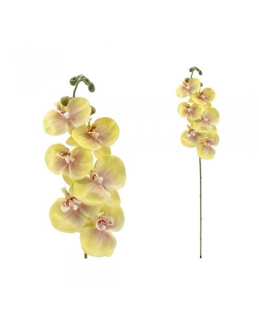 ORQUIDEA 76cm 