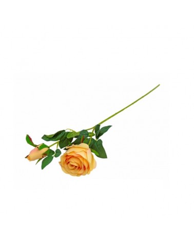 PE DE ROSAS PESSEGO 67cm
