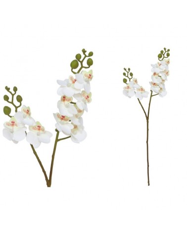 ORQUIDEA 63cm TOQUE REAL