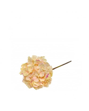 PE HORTENSIA CREME 45cm