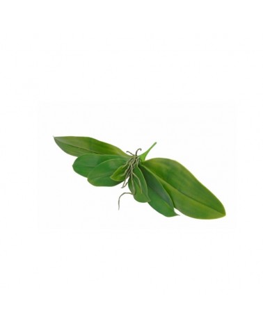 FOLHA ORQUIDEA 37CM