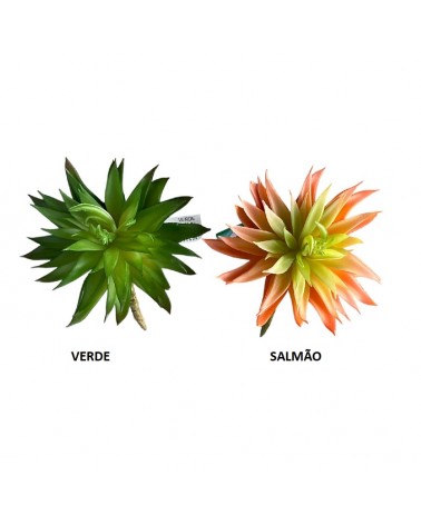 CACTUS 17CM