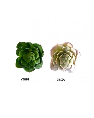 CACTUS 11CM