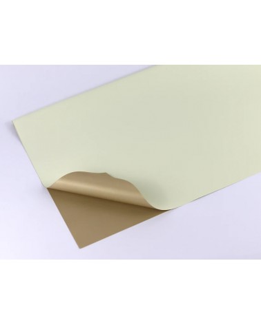 PAPEL QUAD.KRAFT+CREME 57x57 PACK20 LS-15004