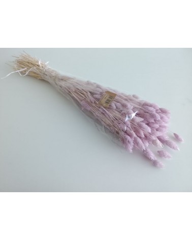 FLORIBERIA- PHALARIS 80CM REF. 013.82