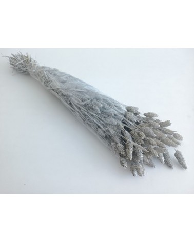 FLORIBERIA- PHALARIS 80CM REF. 013M90