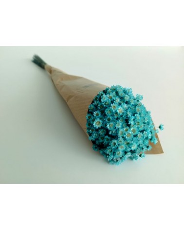 FLORIBERIA- GLIXIA 50CM REF. 032.71