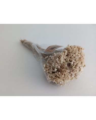 FLORIBERIA- MARCELA 30CM REF. 028.01