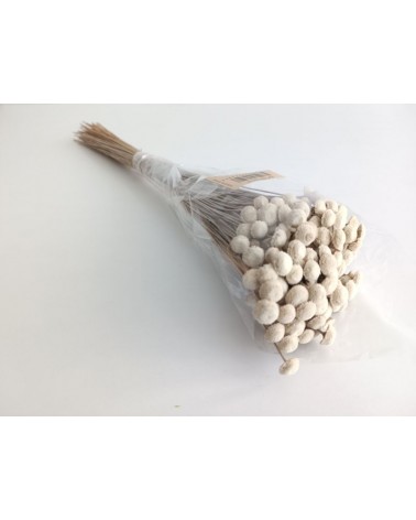 FLORIBERIA- BOTAO 45CM REF. 027.01