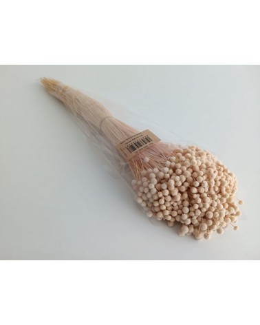 FLORIBERIA- BOTAO MINI 50cm REF. 688-40