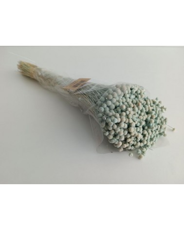FLORIBERIA- BOTAO MINI 50CM REF. 688-71