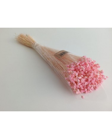 FLORIBERIA- JAZILDA 50CM REF. 105.40