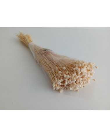 FLORIBERIA- JAZILDA 50CM REF. 105.00