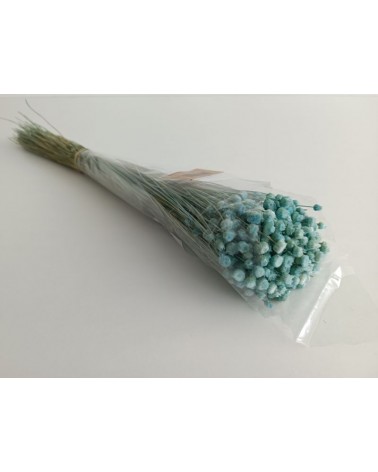 FLORIBERIA- JAZILDA 50CM REF. 105.71