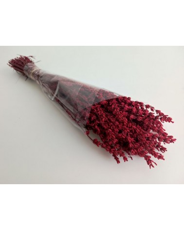 FLORIBERIA- LAVANDA PRESS 45cm REF. 051.59
