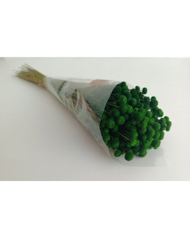 FLORIBERIA- AMARELINHO 45CM REF. 091.67