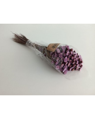 FLORIBERIA- MARGARET 50CM REF.565.89