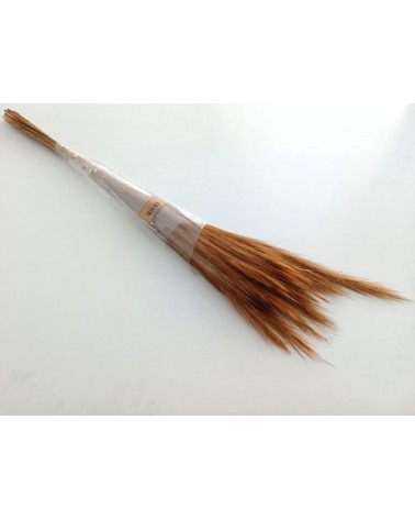 FLORIBERIA- FOX GRASS 70CM REF.326.01