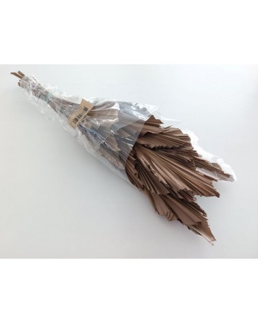 FLORIBERIA- PALM SPEAR 50CM REF. 215.31