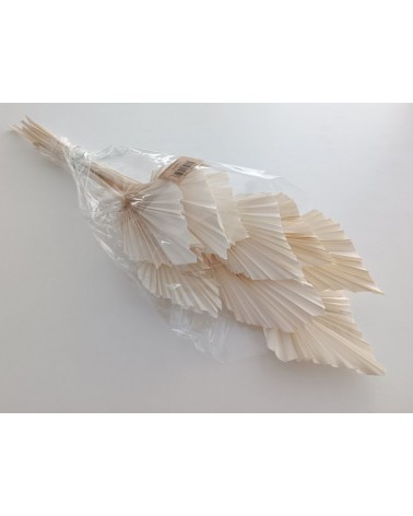 FLORIBERIA- PALM SPEAR 50CM REF. 215.00