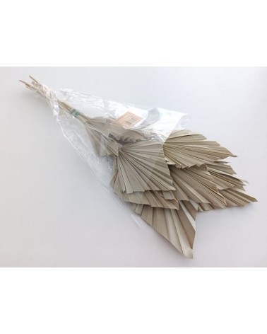 FLORIBERIA- PALM SPEAR 50CM REF. 215.01