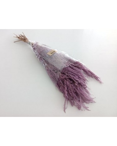 FLORIBERIA- HELECHO X3 PRESS 60/80CM REF. 154.80