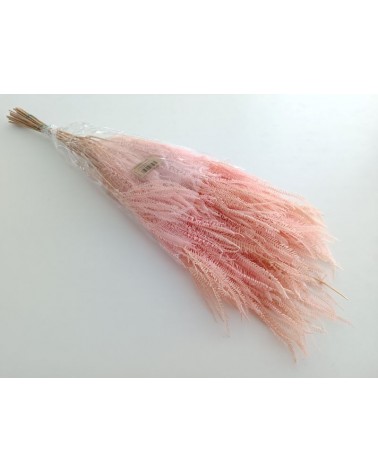 FLORIBERIA- HELECHO X3 PRESS 60/80CM REF. 154.40