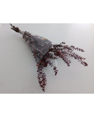 FLORIBERIA- EUCALYPTUS BABY PRESS 60/75CM REF. 517.57