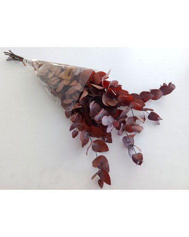 FLORIBERIA- EUCALIPTUS ESPIRAL PRESS 50/80cm REF.020.16