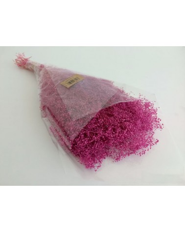 FLORIBERIA- GYPSOPHILA MINI PRESS 40/50CM REF. 177.43