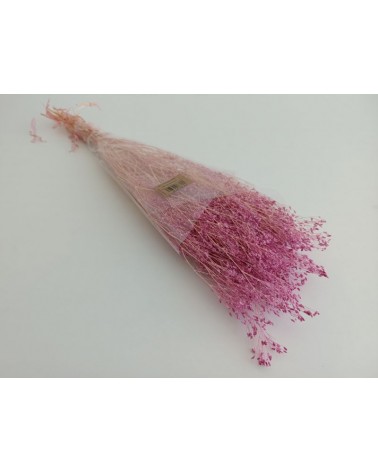 FLORIBERIA- GYPSOPHILA PANICULATA PRESS 60CM REF. 442.42