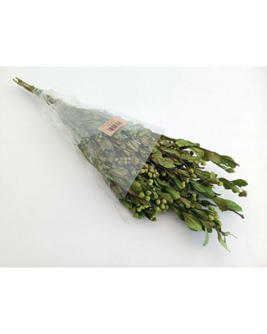 FLORIBERIA- ALECRIM 60CM REF. 314.69
