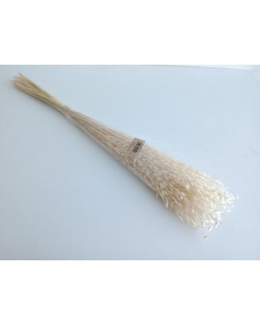 FLORIBERIA- PRINCESS GRASS 100CM  REF. 315.00