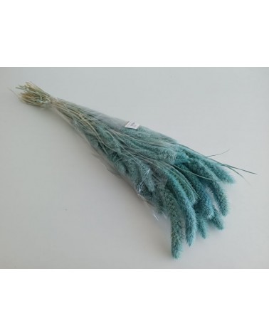 FLORIBERIA- SETARIA 75CM REF. 029.74