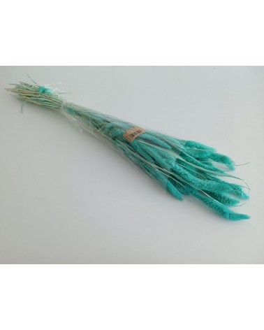 FLORIBERIA- SETARIA 75CM REF. 029.75