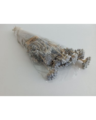 FLORIBERIA- LOMAS 50CM REF. 657.91