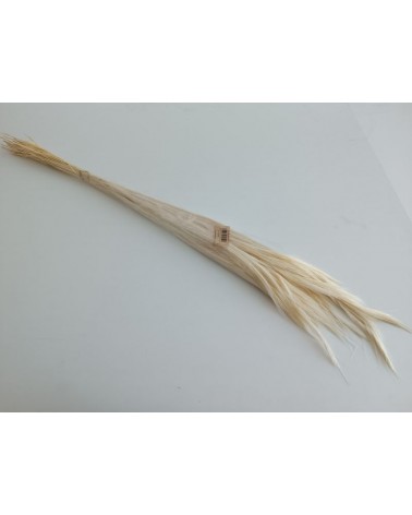 FLORIBERIA- FOX GRASS 70CM REF.326.00