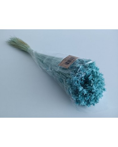 FLORIBERIA- HILL FLOWER 45cm REF. 202.74