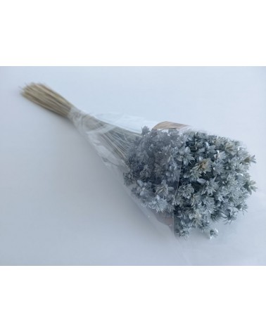 FLORIBERIA- HILL FLOWER 45cm REF. 202.72