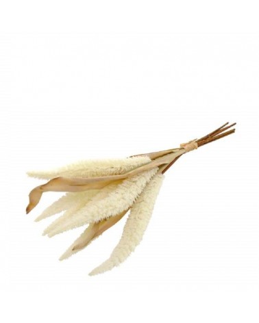 FLOR ARTIFICIAL- PE FLOR "FOXTAIL" COR BRANCO 44CM