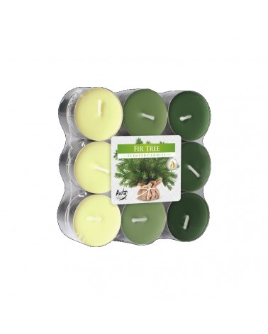 TEALIGHT PERF.C/18 FLORES PINHEIRO P15-18-273
