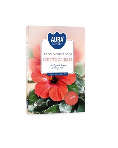 TEALIGHT PERF.CX6 HIBISCUS/SALVIA BR TP15-356