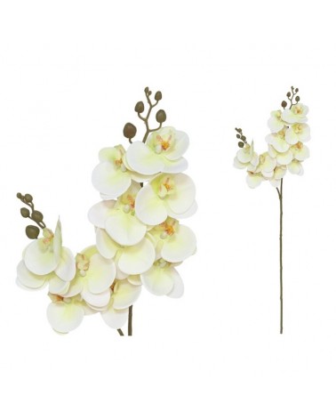 ORQUIDEA 76cm TOQUE REAL