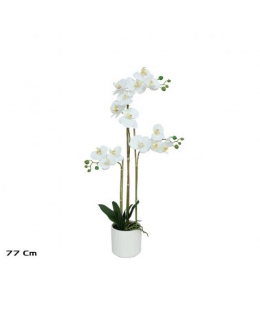 VASO ORQUIDEAS 77cm