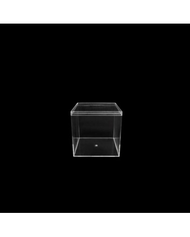 ACRILICO- CAIXA QUADRADA TRANSP. 12x12x12cm