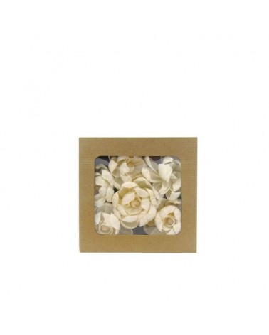 FLOR SECA- CAIXA C/6 "PEONIAS" CREME 19CM