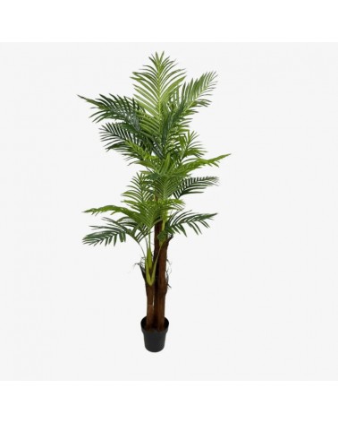 PLANTA PALMEIRA 100CM