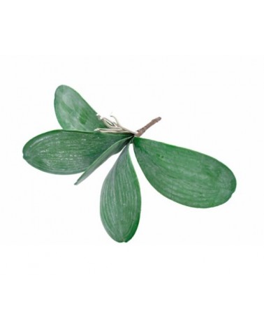 PE FOLHAGEM ORQUIDEA 25CM