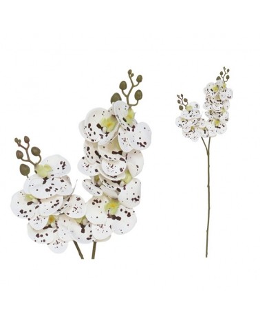 ORQUIDEA 76CM TOQUE REAL CREME